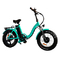 2 Wheel Portable Motorized Bike Aluminum Frame Lightweight
